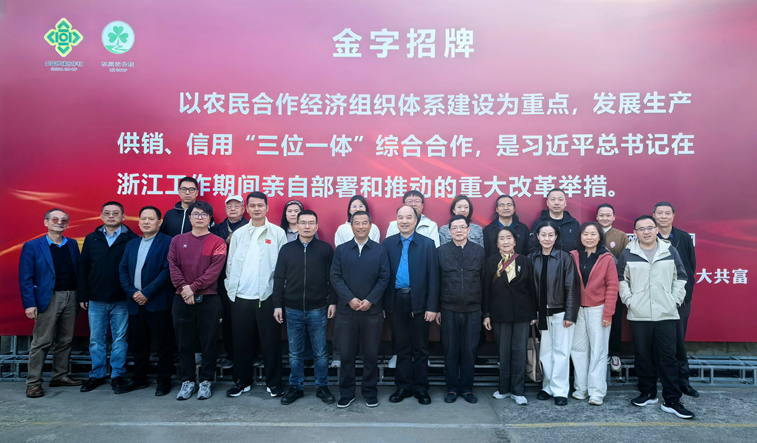 科技赋能，传媒综合支部活动走进泗乡公社