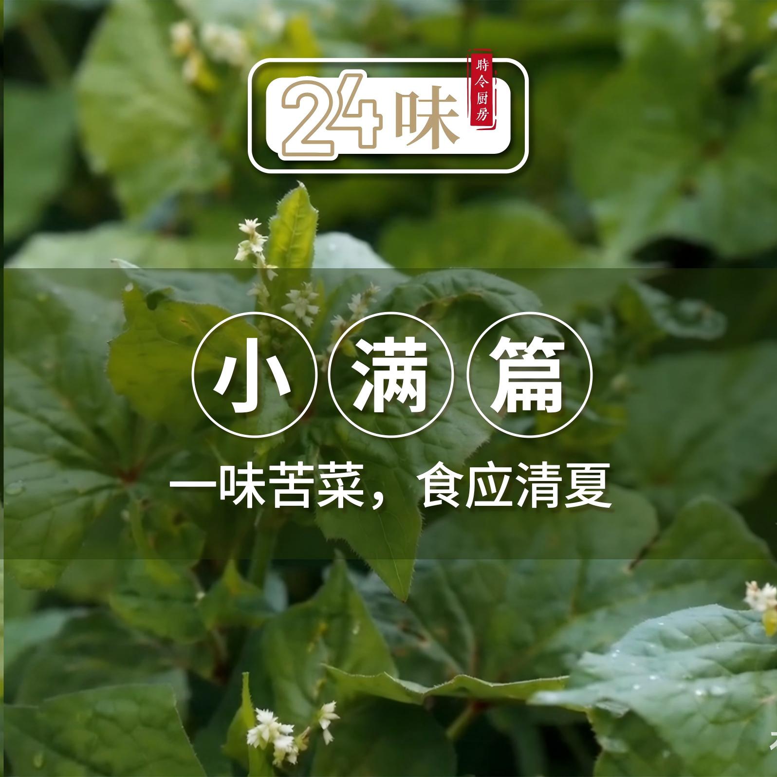 24味丨一味苦菜，食应清夏天