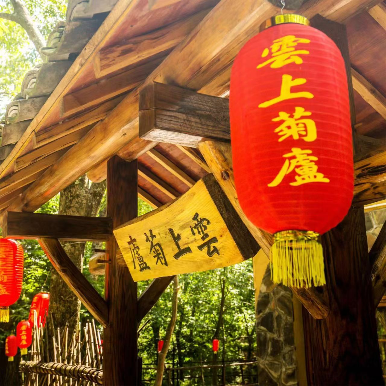 云山藏雅庐 红韵润乡魂 ——淳安云上菊庐红色采风记