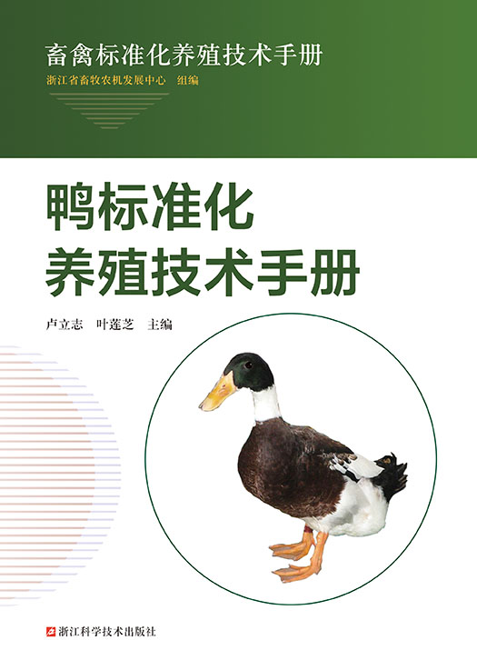 鸭标准化养殖