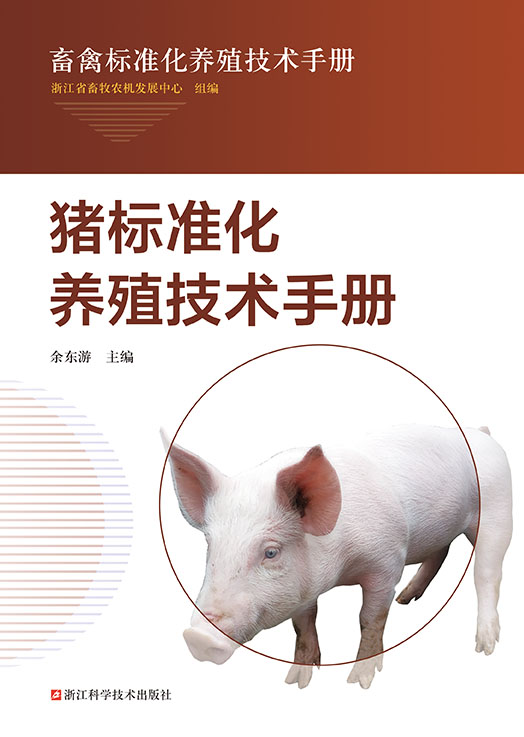 猪标准化养殖
