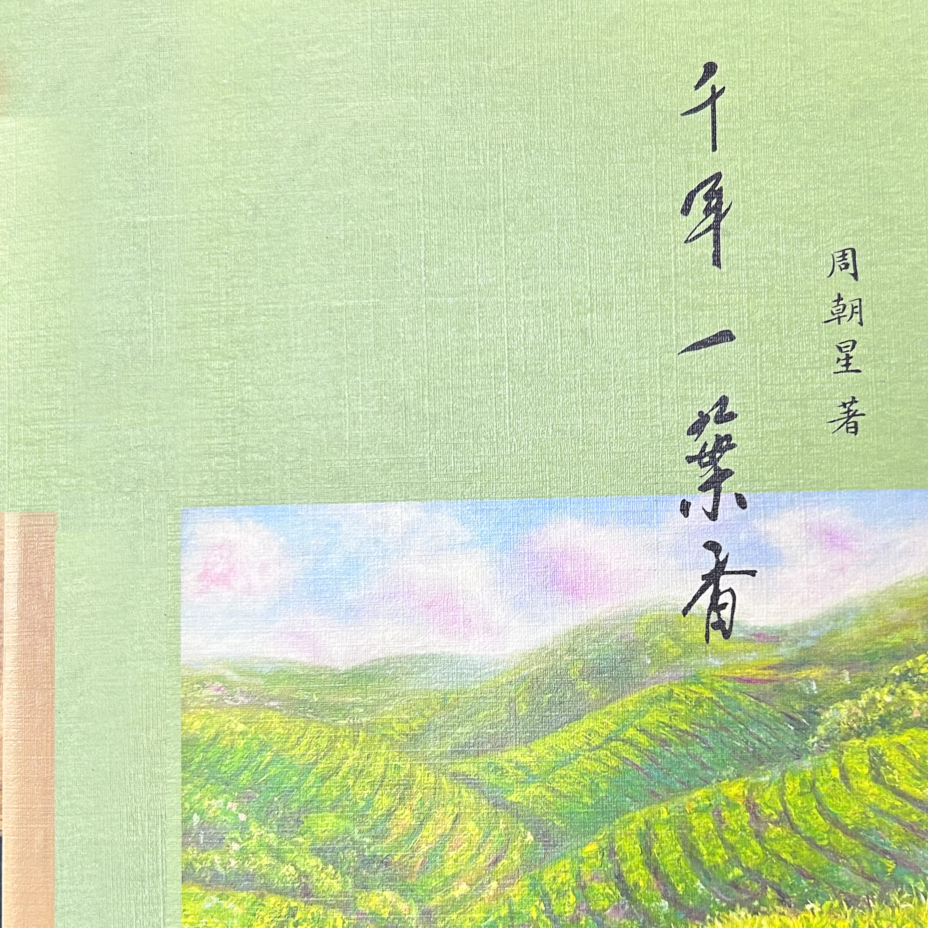 千年一叶香——周朝星